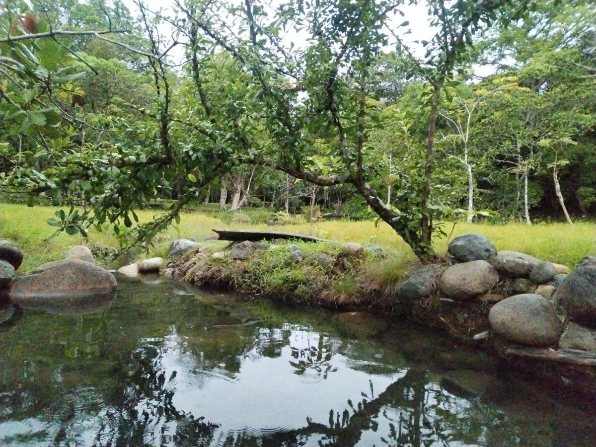 הוילה אלטו בוקט Campestre House מראה חיצוני תמונה
